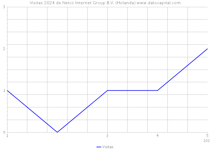 Visitas 2024 de Netco Internet Group B.V. (Holanda) 