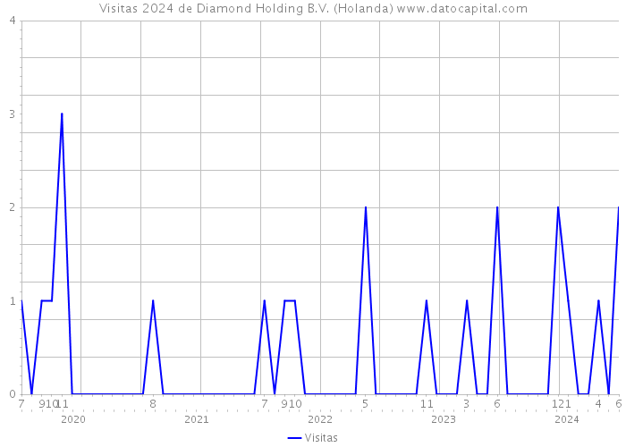 Visitas 2024 de Diamond Holding B.V. (Holanda) 