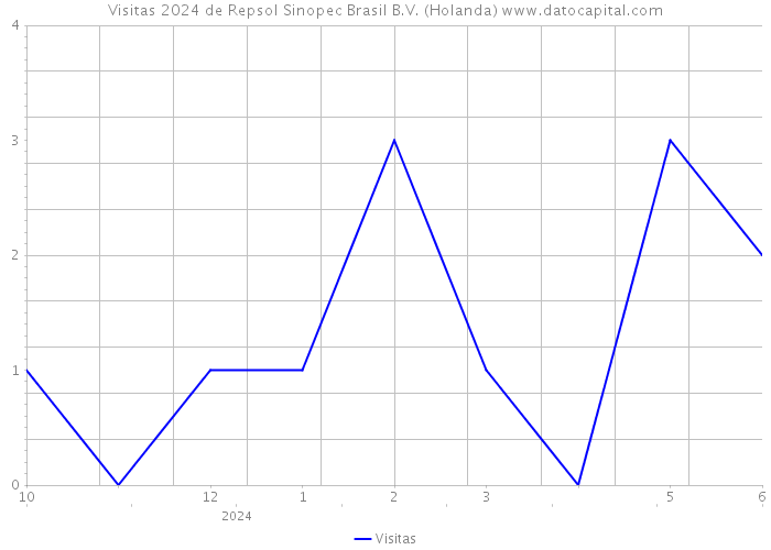 Visitas 2024 de Repsol Sinopec Brasil B.V. (Holanda) 