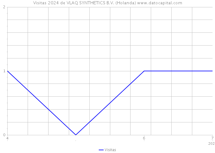 Visitas 2024 de VLAQ SYNTHETICS B.V. (Holanda) 