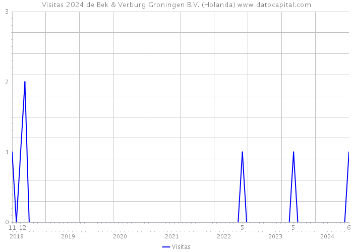 Visitas 2024 de Bek & Verburg Groningen B.V. (Holanda) 