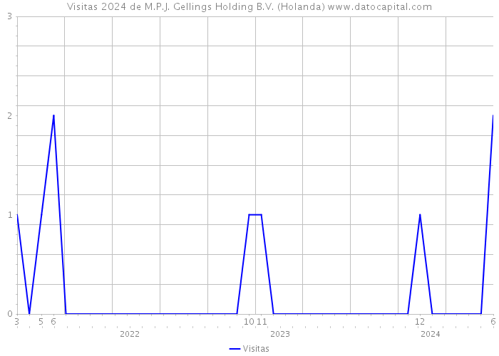 Visitas 2024 de M.P.J. Gellings Holding B.V. (Holanda) 