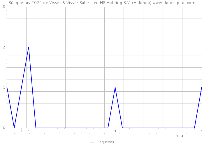 Búsquedas 2024 de Visser & Visser Salaris en HR Holding B.V. (Holanda) 