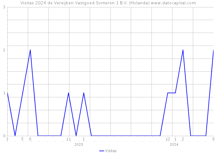 Visitas 2024 de Vereijken Vastgoed Someren 1 B.V. (Holanda) 