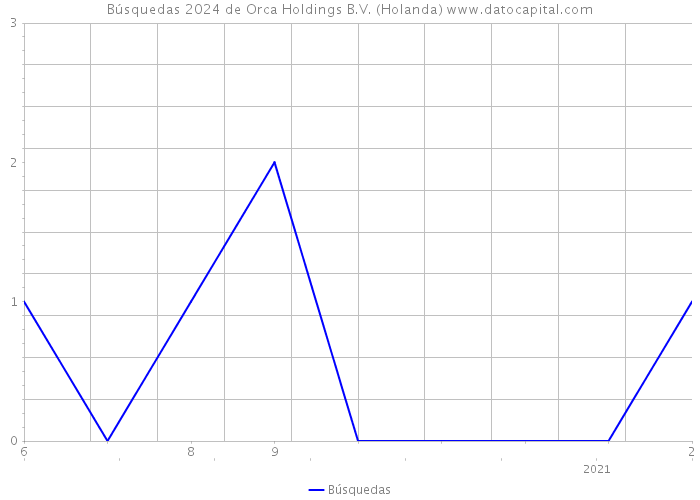 Búsquedas 2024 de Orca Holdings B.V. (Holanda) 