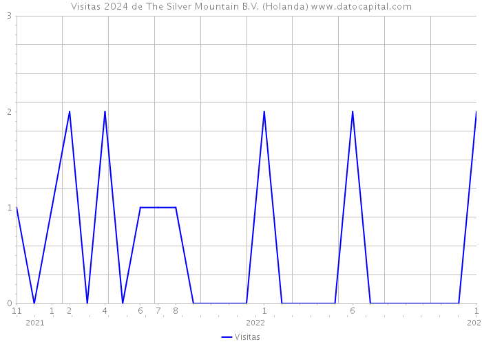 Visitas 2024 de The Silver Mountain B.V. (Holanda) 