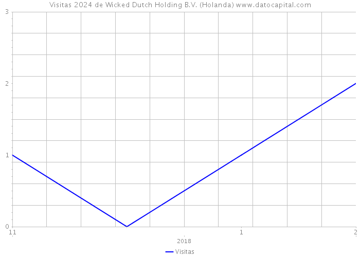 Visitas 2024 de Wicked Dutch Holding B.V. (Holanda) 