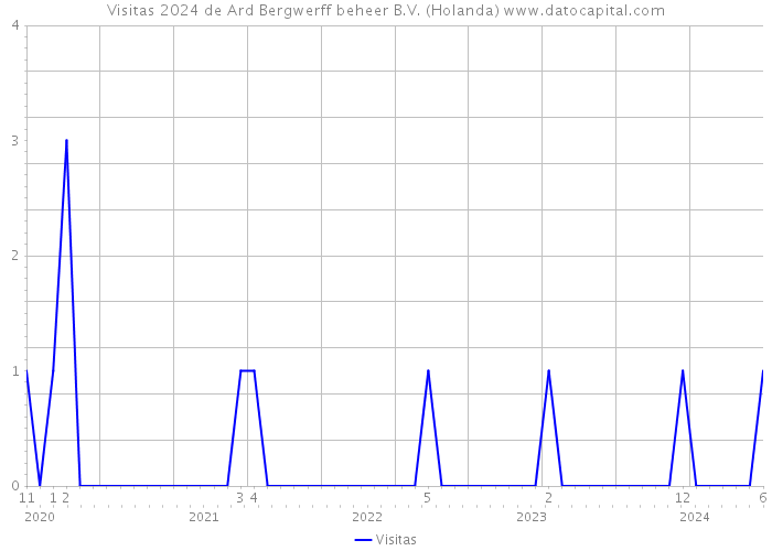 Visitas 2024 de Ard Bergwerff beheer B.V. (Holanda) 