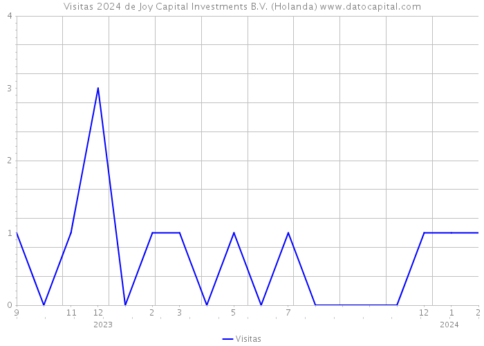 Visitas 2024 de Joy Capital Investments B.V. (Holanda) 