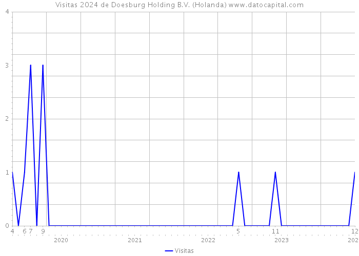 Visitas 2024 de Doesburg Holding B.V. (Holanda) 