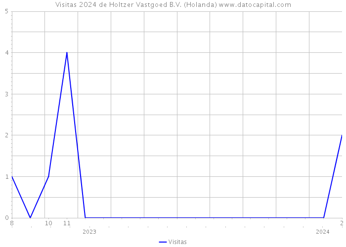 Visitas 2024 de Holtzer Vastgoed B.V. (Holanda) 