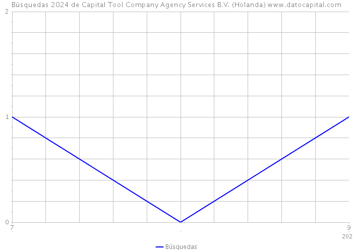 Búsquedas 2024 de Capital Tool Company Agency Services B.V. (Holanda) 