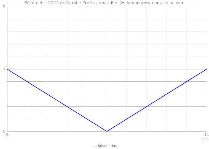 Búsquedas 2024 de Duthler Professionals B.V. (Holanda) 