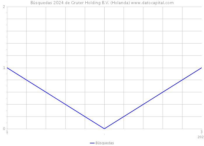 Búsquedas 2024 de Gruter Holding B.V. (Holanda) 
