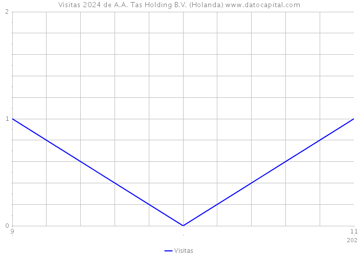 Visitas 2024 de A.A. Tas Holding B.V. (Holanda) 