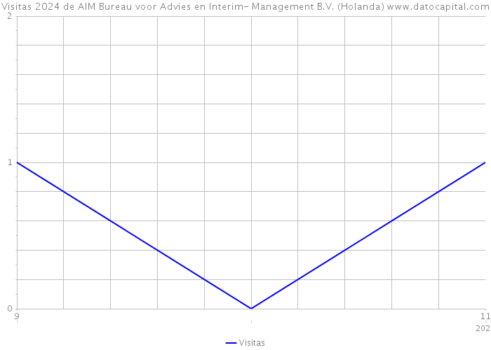 Visitas 2024 de AIM Bureau voor Advies en Interim- Management B.V. (Holanda) 