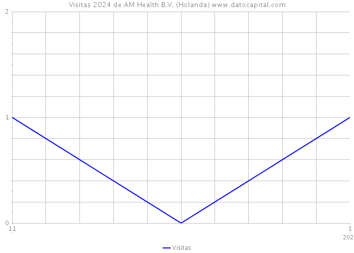 Visitas 2024 de AM Health B.V. (Holanda) 