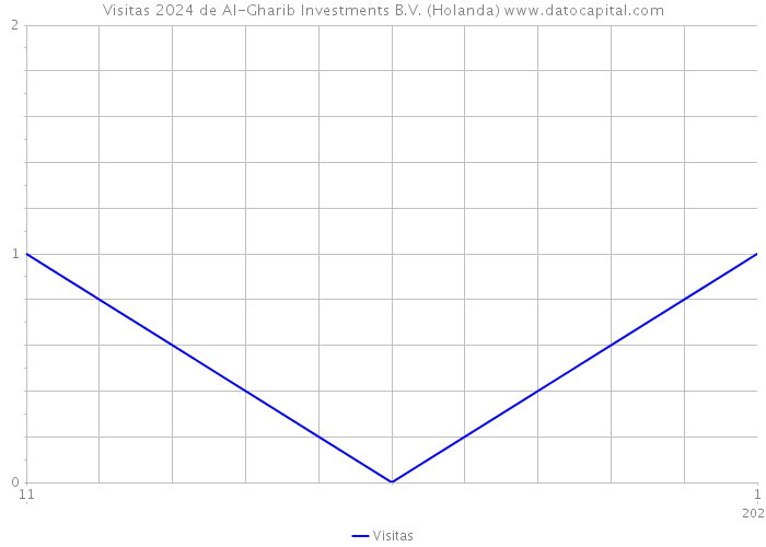 Visitas 2024 de Al-Gharib Investments B.V. (Holanda) 