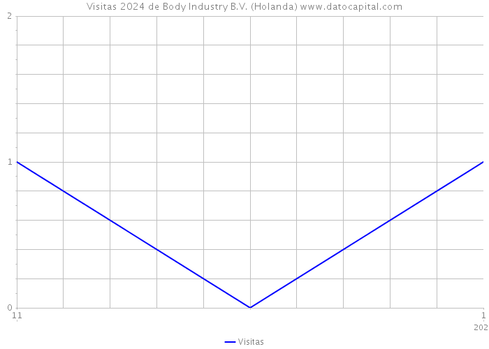 Visitas 2024 de Body Industry B.V. (Holanda) 