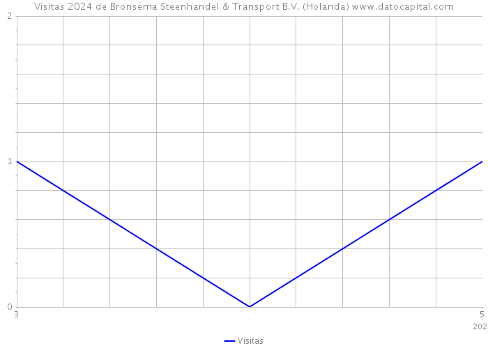 Visitas 2024 de Bronsema Steenhandel & Transport B.V. (Holanda) 