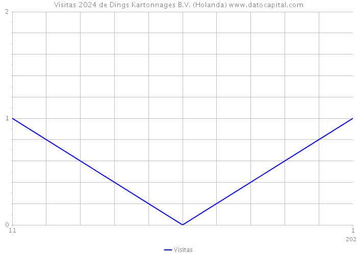 Visitas 2024 de Dings Kartonnages B.V. (Holanda) 