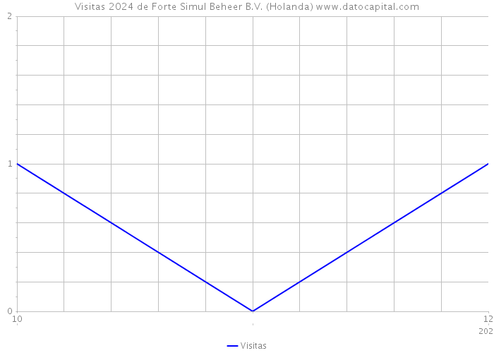 Visitas 2024 de Forte Simul Beheer B.V. (Holanda) 