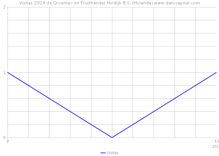 Visitas 2024 de Groente- en Fruithandel Holdijk B.V. (Holanda) 