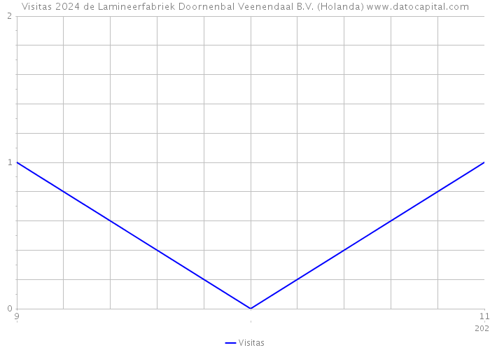 Visitas 2024 de Lamineerfabriek Doornenbal Veenendaal B.V. (Holanda) 