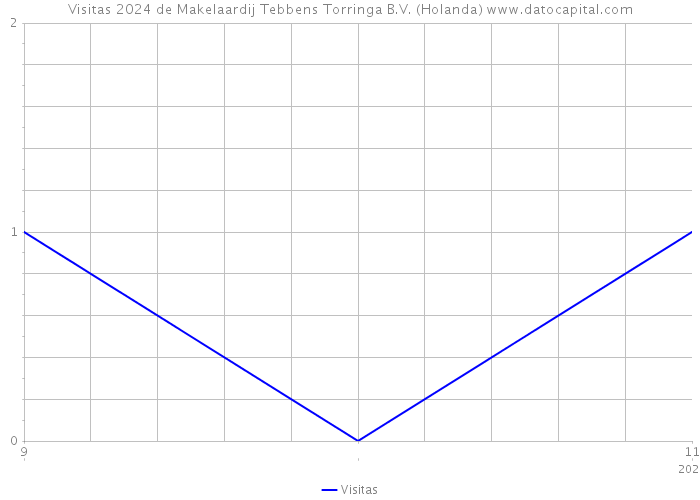 Visitas 2024 de Makelaardij Tebbens Torringa B.V. (Holanda) 