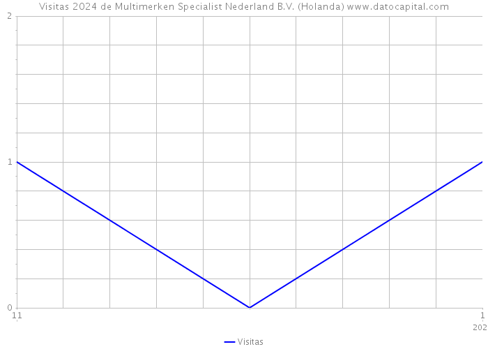 Visitas 2024 de Multimerken Specialist Nederland B.V. (Holanda) 