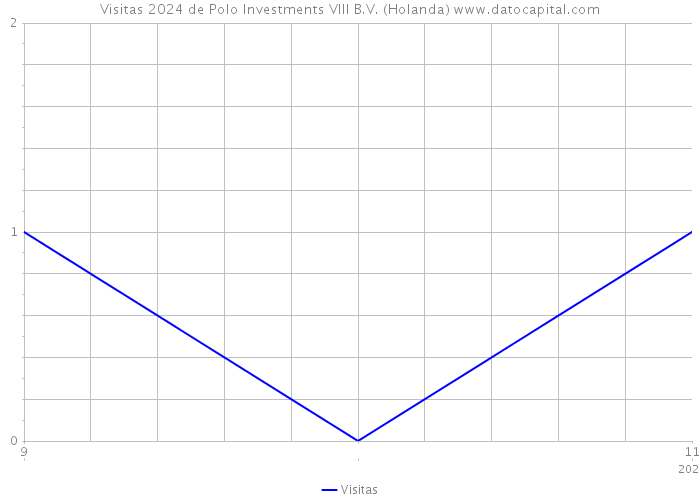 Visitas 2024 de Polo Investments VIII B.V. (Holanda) 