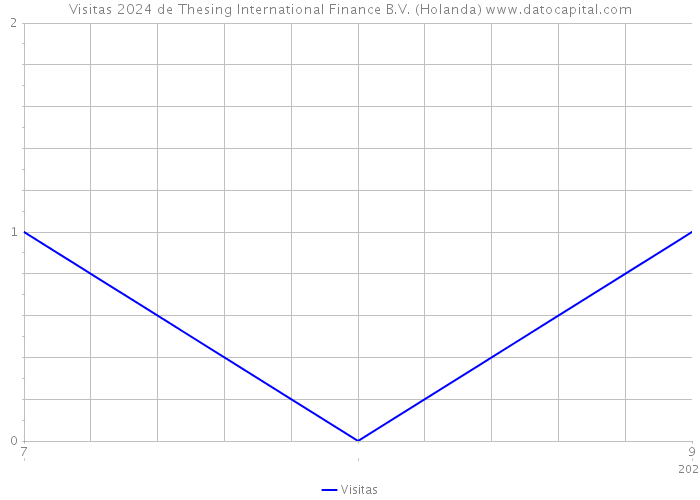 Visitas 2024 de Thesing International Finance B.V. (Holanda) 