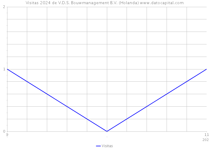 Visitas 2024 de V.D.S. Bouwmanagement B.V. (Holanda) 