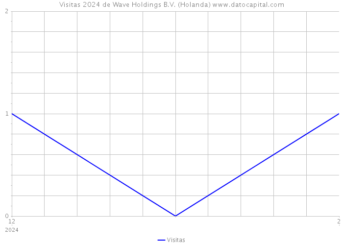 Visitas 2024 de Wave Holdings B.V. (Holanda) 