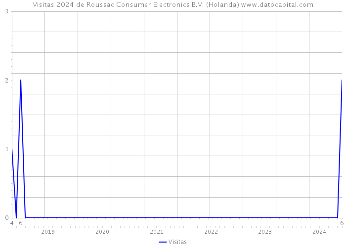 Visitas 2024 de Roussac Consumer Electronics B.V. (Holanda) 