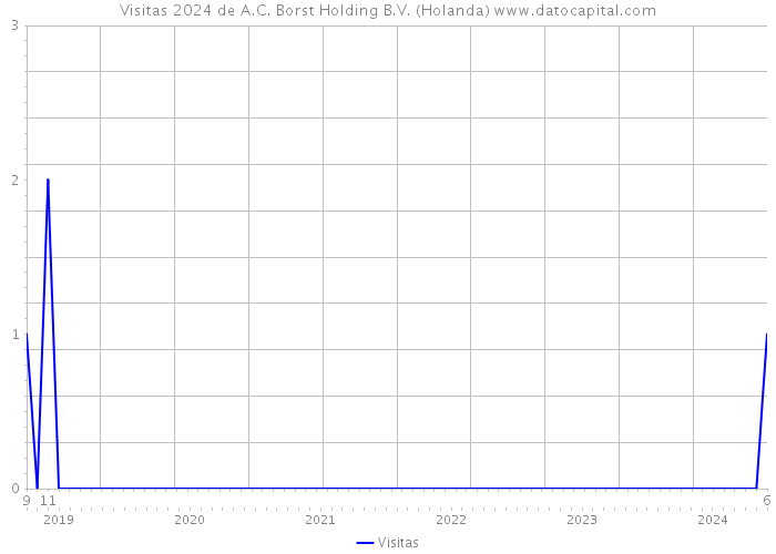 Visitas 2024 de A.C. Borst Holding B.V. (Holanda) 