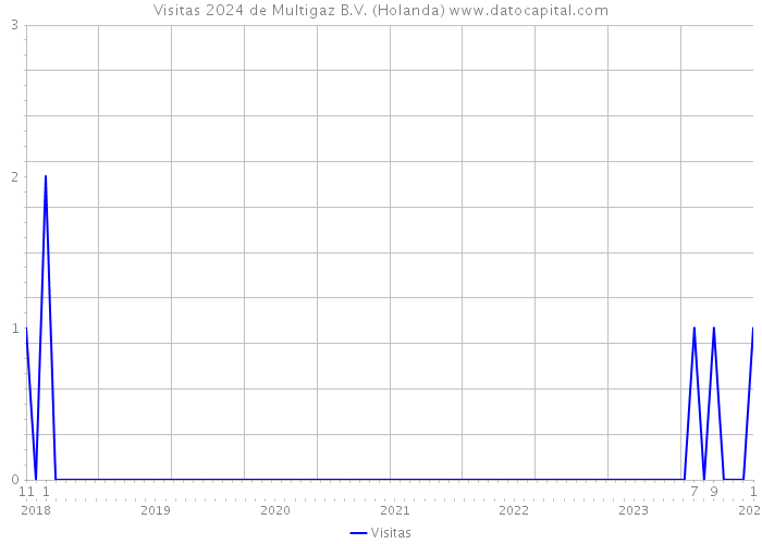 Visitas 2024 de Multigaz B.V. (Holanda) 