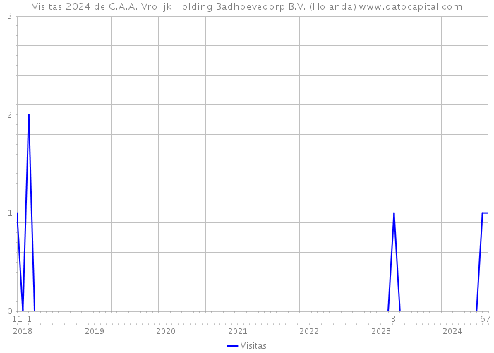 Visitas 2024 de C.A.A. Vrolijk Holding Badhoevedorp B.V. (Holanda) 