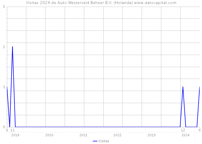 Visitas 2024 de Auto Westerveld Beheer B.V. (Holanda) 