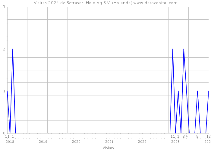 Visitas 2024 de Betrasari Holding B.V. (Holanda) 