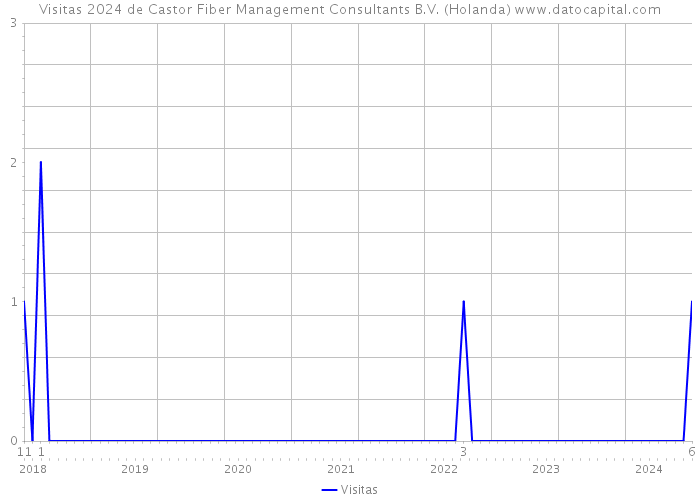 Visitas 2024 de Castor Fiber Management Consultants B.V. (Holanda) 