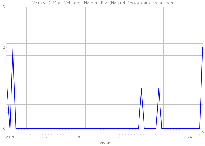 Visitas 2024 de Veltkamp Holding B.V. (Holanda) 