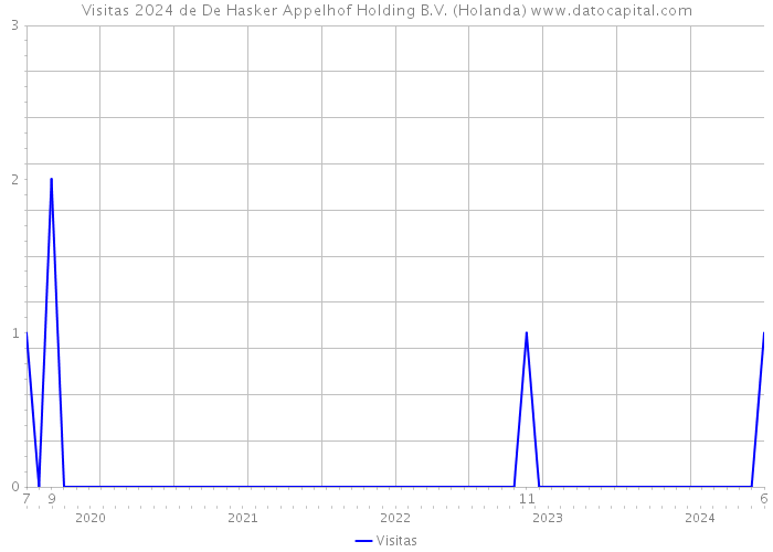 Visitas 2024 de De Hasker Appelhof Holding B.V. (Holanda) 