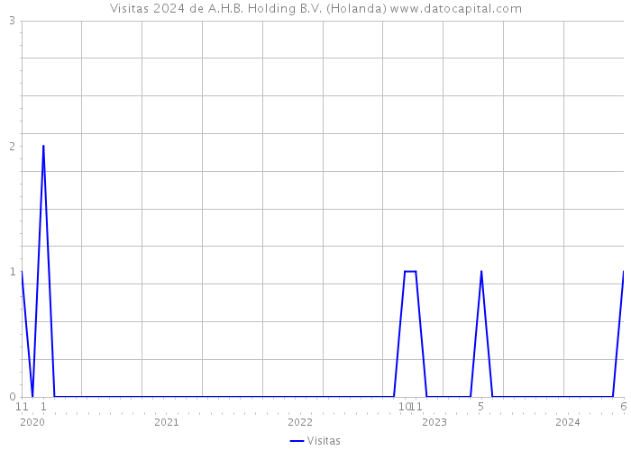 Visitas 2024 de A.H.B. Holding B.V. (Holanda) 