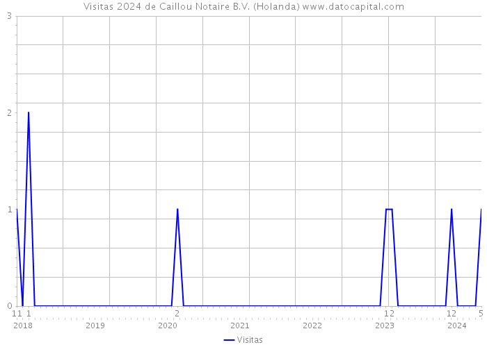 Visitas 2024 de Caillou Notaire B.V. (Holanda) 