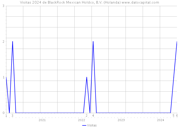 Visitas 2024 de BlackRock Mexican Holdco, B.V. (Holanda) 