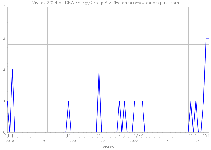 Visitas 2024 de DNA Energy Group B.V. (Holanda) 