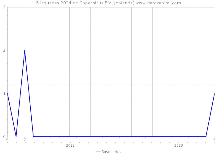 Búsquedas 2024 de Copernicus B.V. (Holanda) 