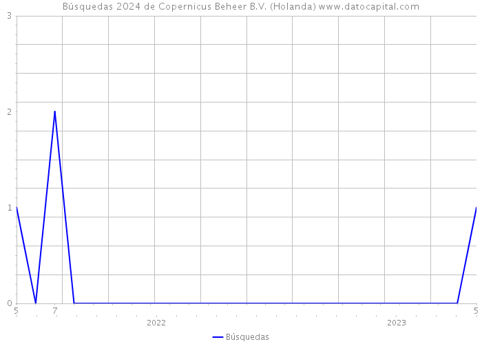 Búsquedas 2024 de Copernicus Beheer B.V. (Holanda) 