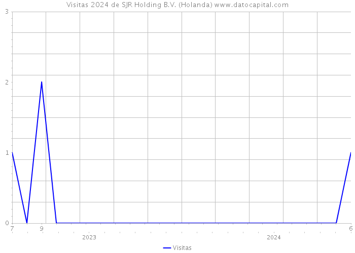 Visitas 2024 de SJR Holding B.V. (Holanda) 